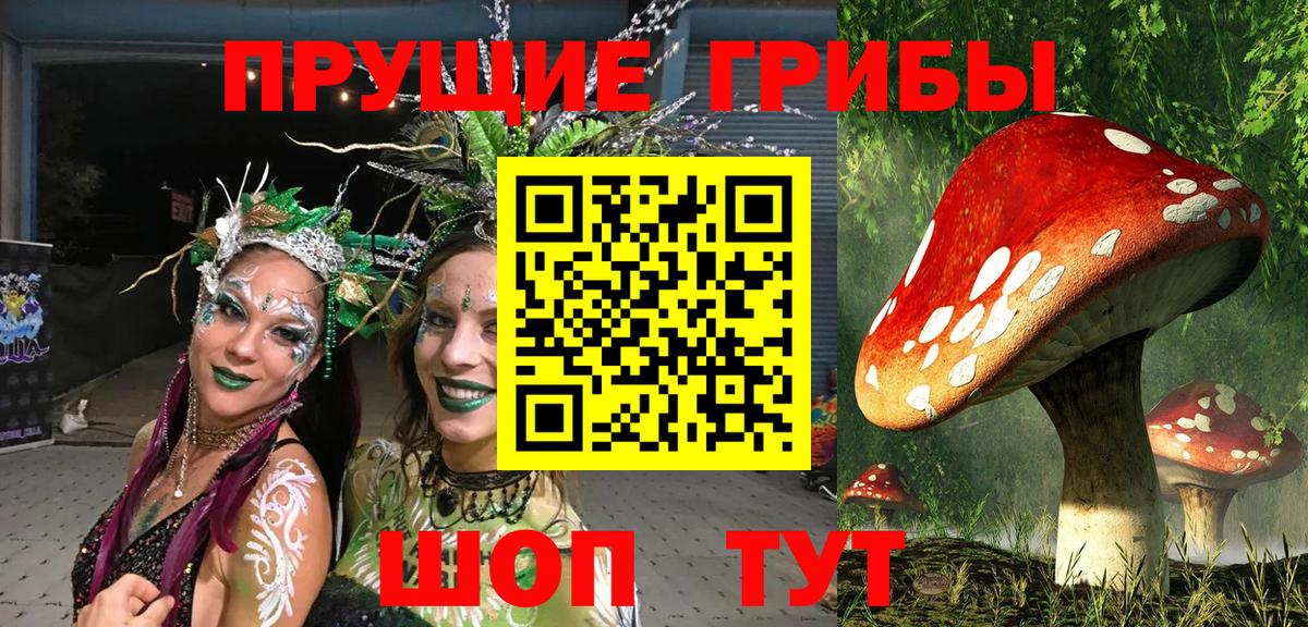 Псилоцибиновые грибы MAGIC MUSHROOMS Гай